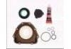 Dichtungsvollsatz, Motor Full Gasket Set:7701476858