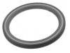 Wellendichtring, Kurbelwelle Crankshaft Oil Seal:77 00 859 692